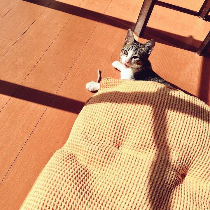 8728e227 221c 4a30 8a91 800ddbdacf6b