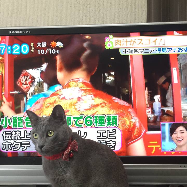 8728e9df a90f 4f1c 8b54 34f5ce9056d6