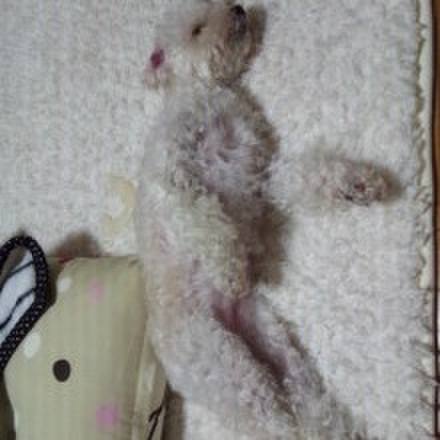 8728ee82 fe7b 49d9 bd1f 0f00f19e205f