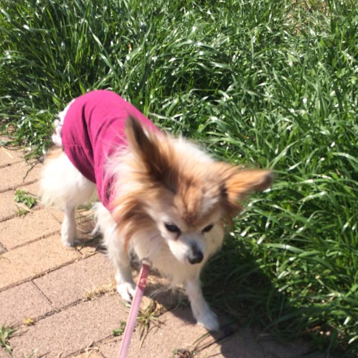 87292305 22b3 47ac a067 e7414229b361