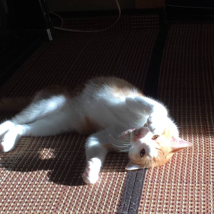 872a4978 a560 4f45 b26d 4cdb01c06d35