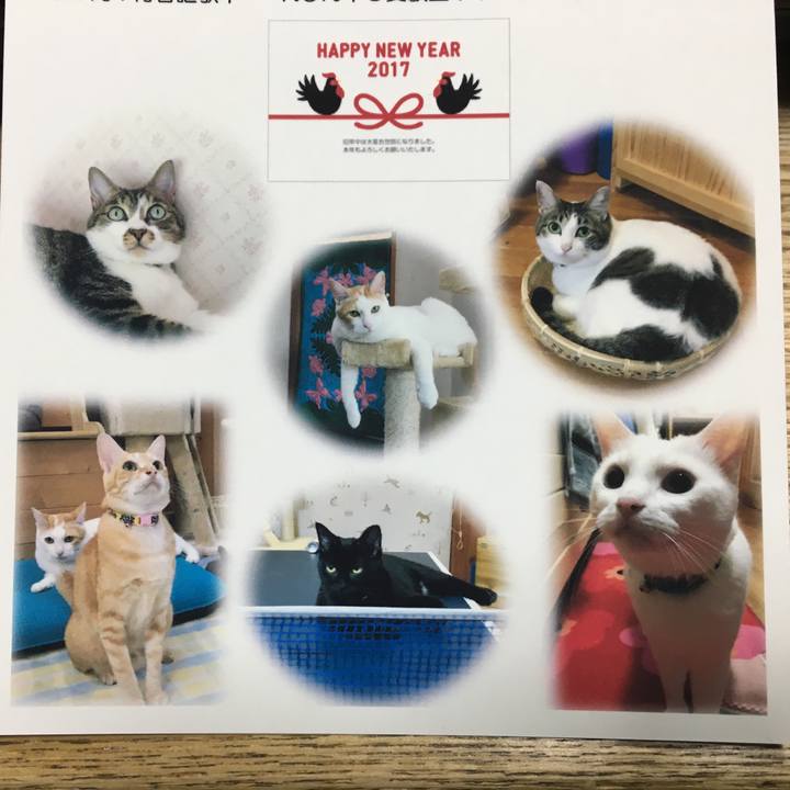 872a8552 c54b 4536 ace4 2167dd38be71