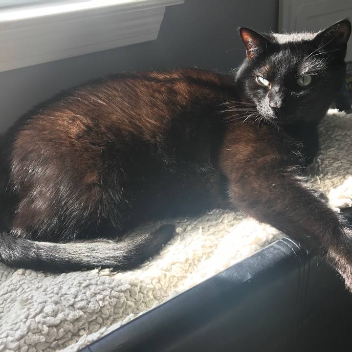 872ae562 128b 46ef 8841 aeb230893c71