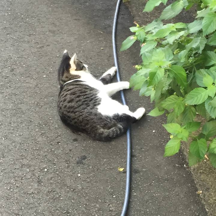 872b2afa 9986 42f1 ba87 eda66b7791f6