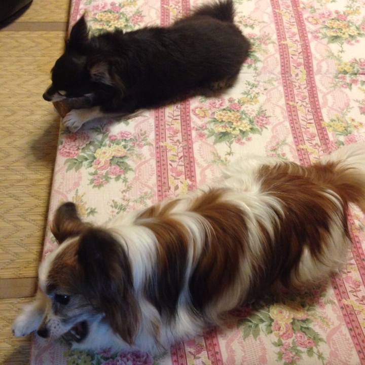 872b89ca 3986 4b09 b340 91c8d9e6a187