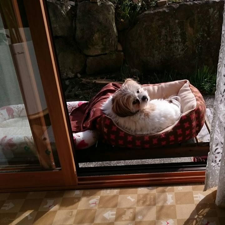 872c22d3 9d09 480b a589 ed946eb9ffe3