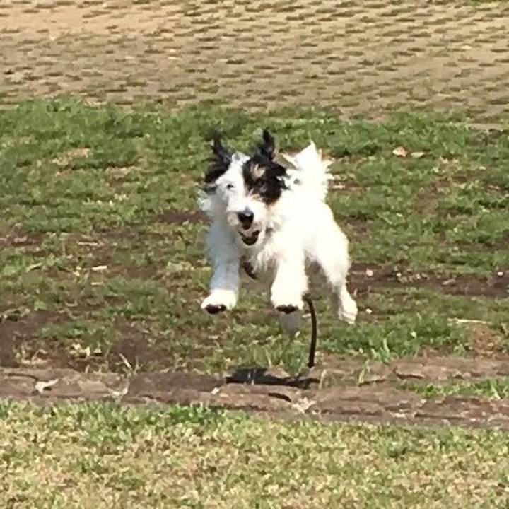 872c652f 036a 4e71 a133 50bbe5c2601d