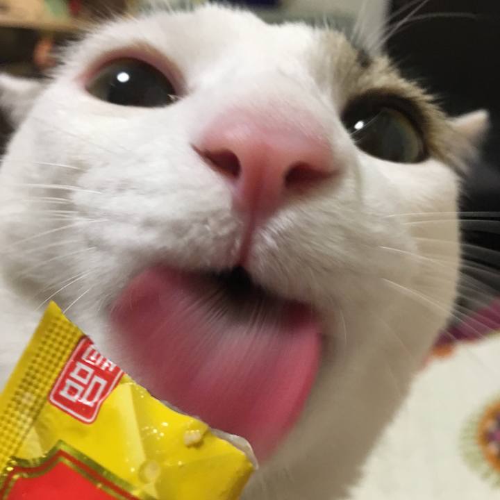 872d1d5f 41d0 410d a5c8 4b93d5a76b1c