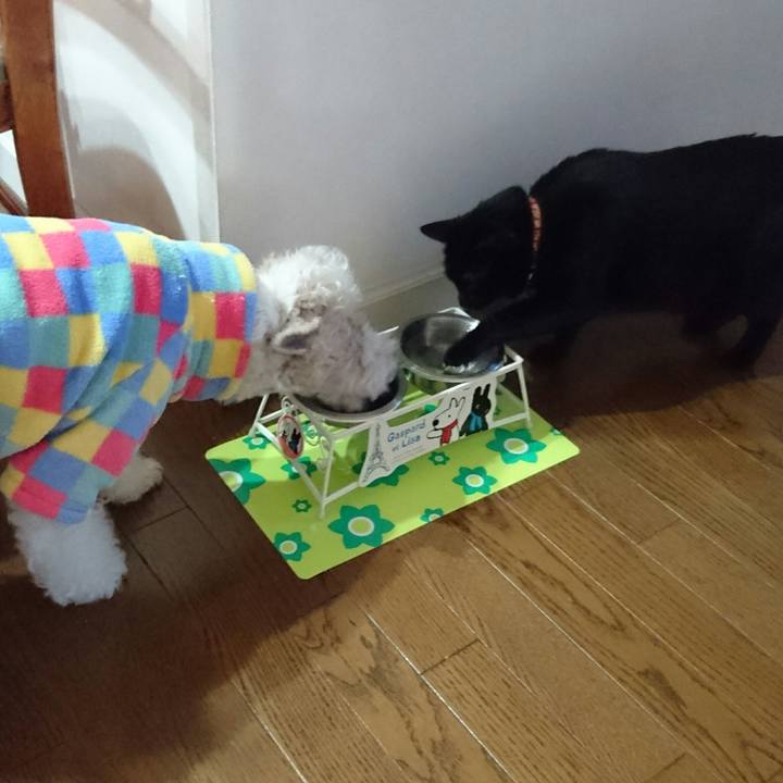 872d5c35 a624 478c b59a c3af7ab75b5e