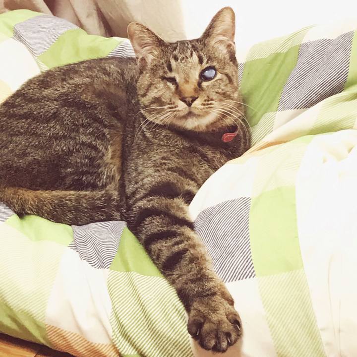 872da586 5488 4bac a300 3517d0157c01