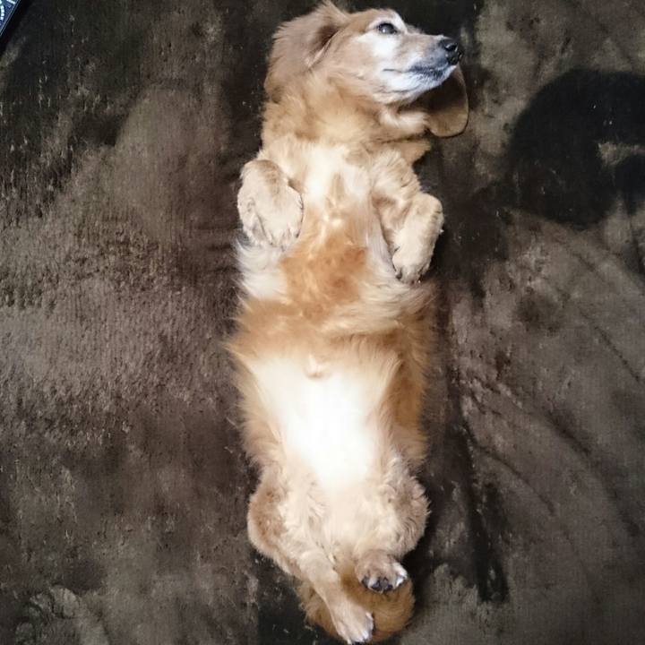 872de795 4ff9 49b3 86c7 544696d74def