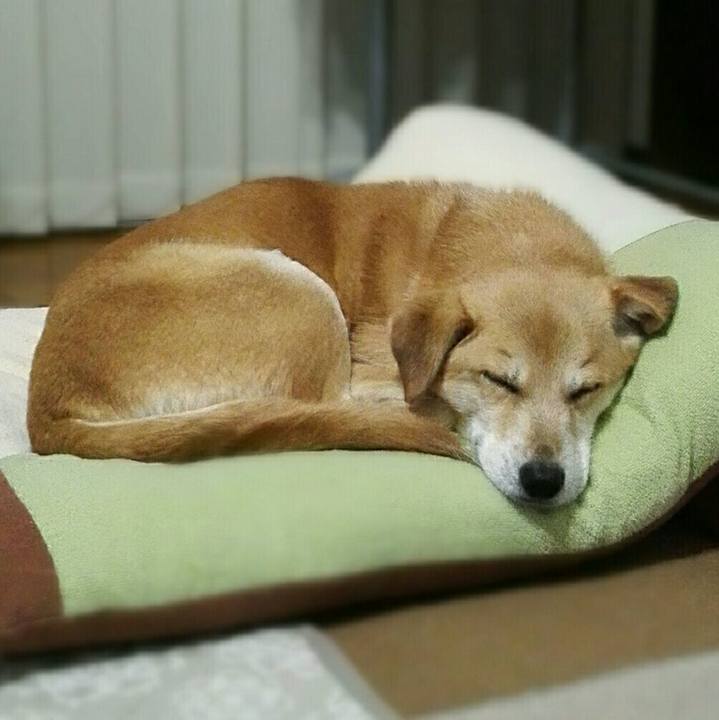 872e07e9 494a 418c 83da 8df97d2b5682