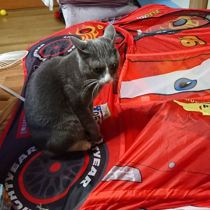 872f5307 4e39 49d1 a7be 2cd2d3bca11a