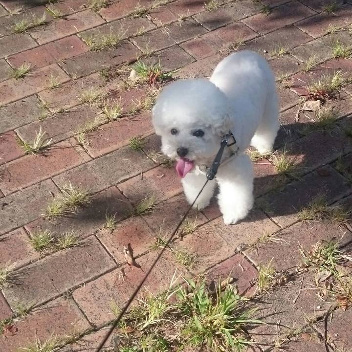 872f9543 3fee 42ff aba8 ae07b70f2e06