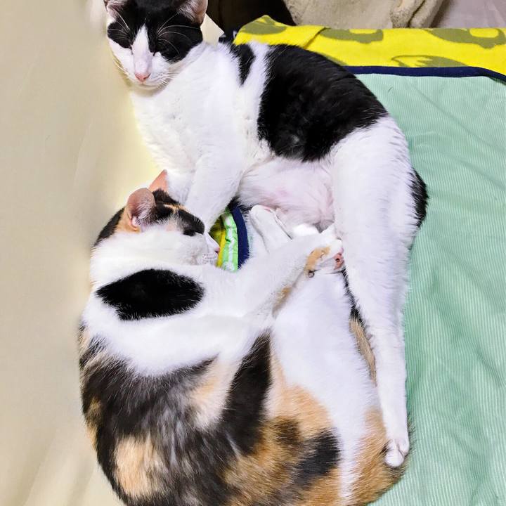 872f9756 fa18 46ae bbf9 4d54b5ad4d4e