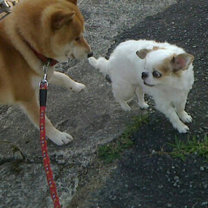 872fb414 b788 4c65 af77 992373f4ba9f