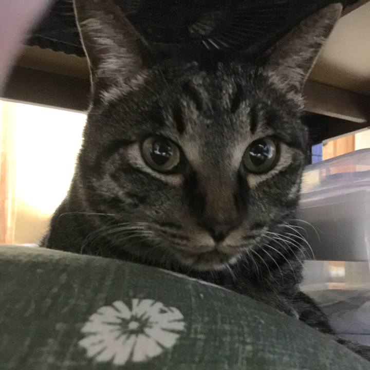 872fdfe6 d8c5 43ff b28d 4f4922658f80