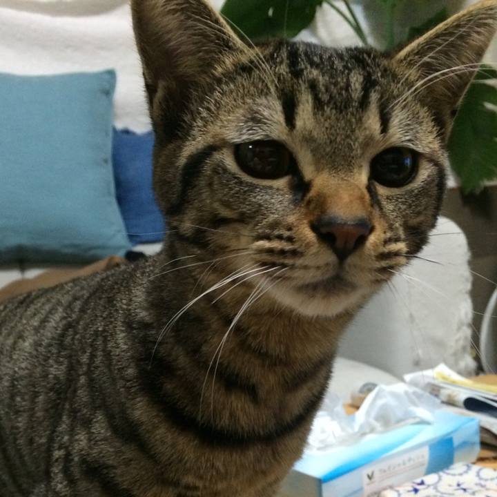 87302ffd 21f8 420e 840d cb2e10a4212a