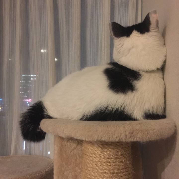 8730b20b 40e4 4d32 a8d4 041fc02ff053