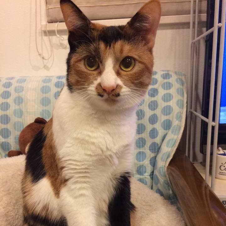 8730c1d3 7588 4672 8e0a 05a9ad477188