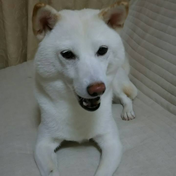 8730f1f3 7cd0 4b69 a333 d8c9d684579d