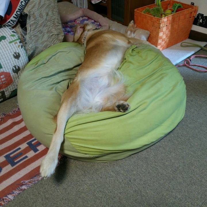 87320710 d285 4335 9ee7 a8595fb2243f