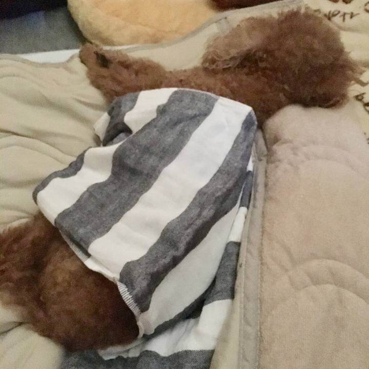 8732e793 cea7 4563 8bd8 5b2b5c182e56