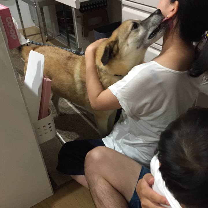 873316fd da84 468e 8cb3 45b4a1f7b820