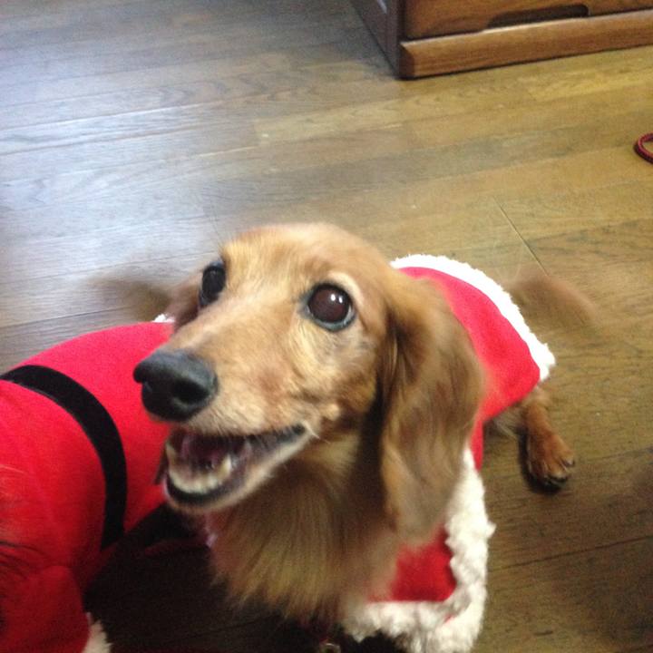 87332bea e4ad 4ad2 ac96 80aaec005655