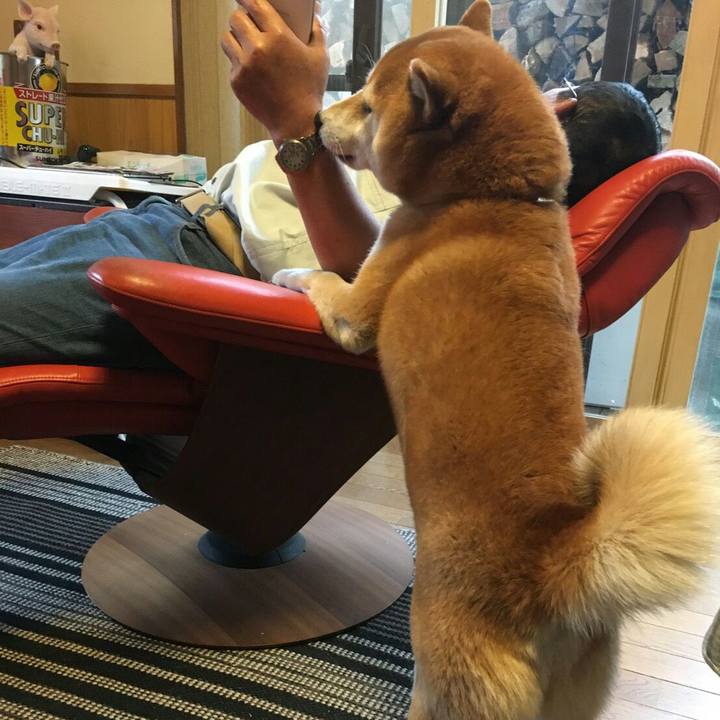 87348c9d 69fc 47c3 8841 103369929b19