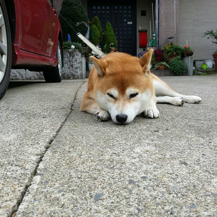 8735a848 12bb 43f9 8685 54ce3ae3d5c5