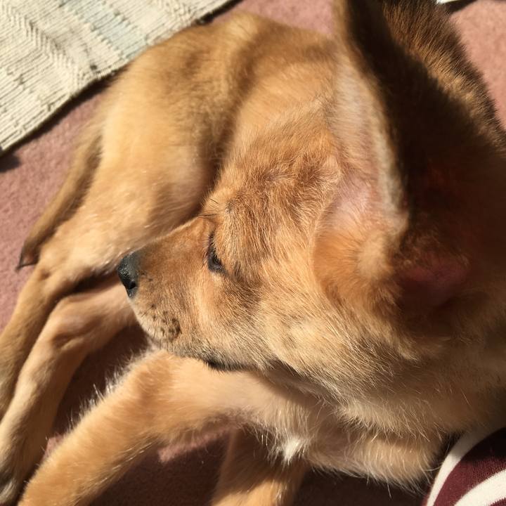 8735d2ef 62c0 48ff a33a 8c78197bd0e6