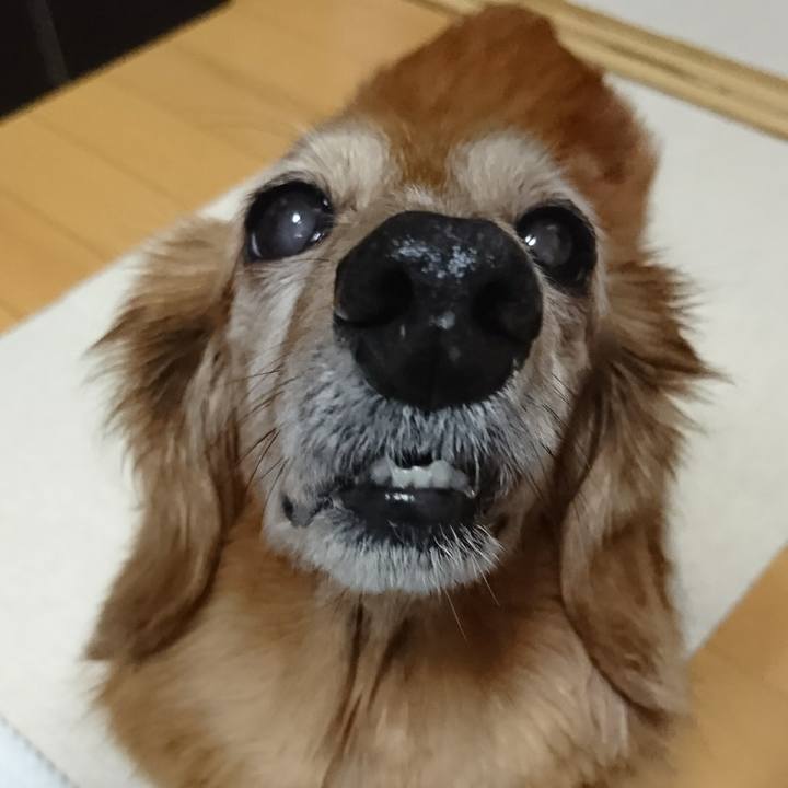 87360e9d db14 4ed2 b41b 94fd82399371