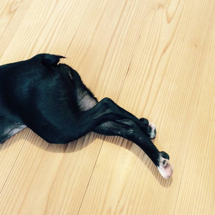 8736a399 6799 4b5d b355 87cac0128755