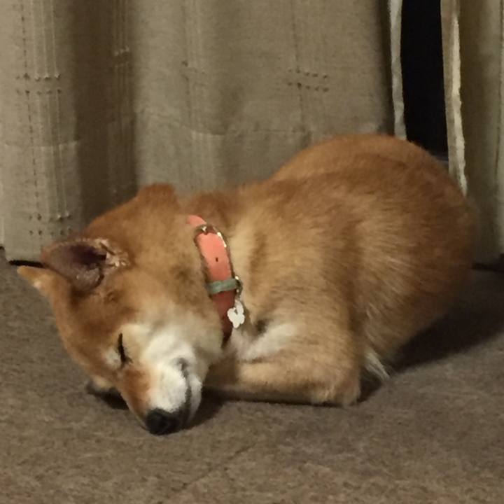 8736d6f9 02b4 489d bb1f 38854fcec7cd