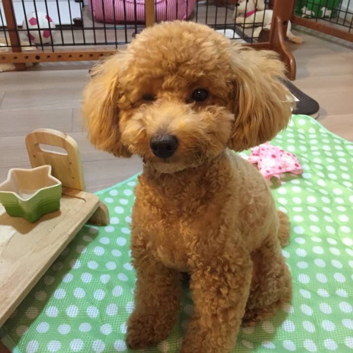 8737f63a 726c 4fd0 913f 1634c0d9da93