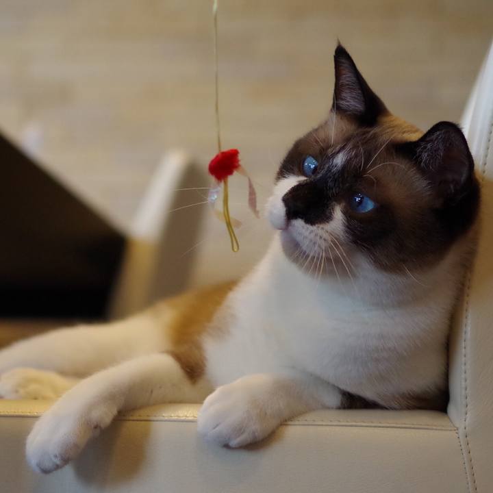 87386e3a ea67 4687 bc01 24a92eb0292b