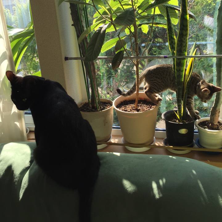 873871c2 cf4d 4735 9e0e 17995ee9982f