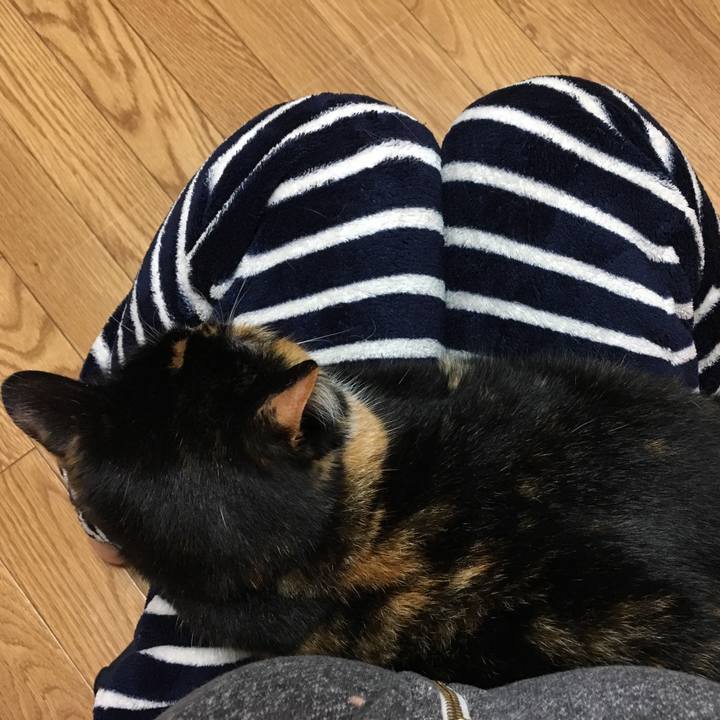 87389890 c625 4b82 a6fd 2f9a7979e2ad