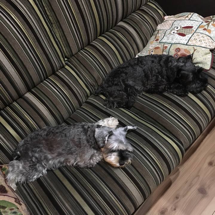 8738ab0e a925 4310 968c e7e6496b31f4