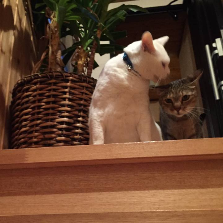 8739d05a 1801 4f3f ab78 86fe6b341649