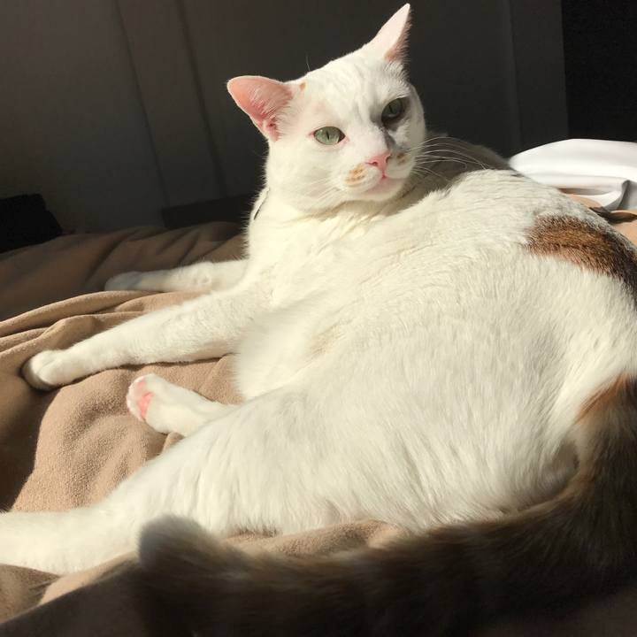 8739da51 c39b 4432 afe3 45e5418abdaa