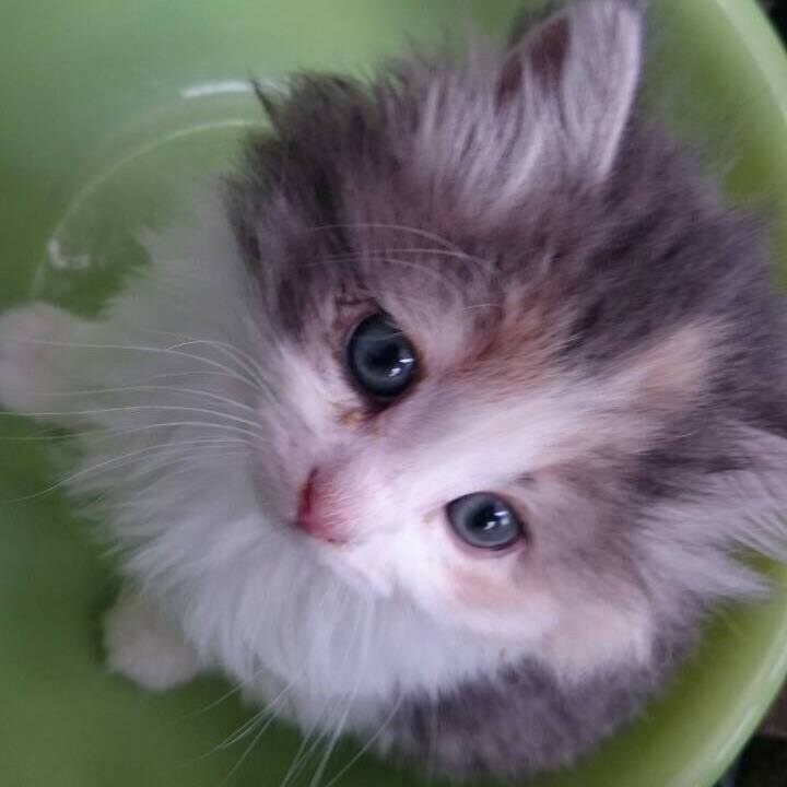 873a6d4c 72c5 48f3 aa5c eff25e38105b