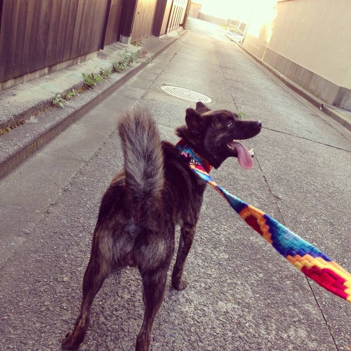 873b0c92 0d4a 4a92 9b6d 2cb1934049fd