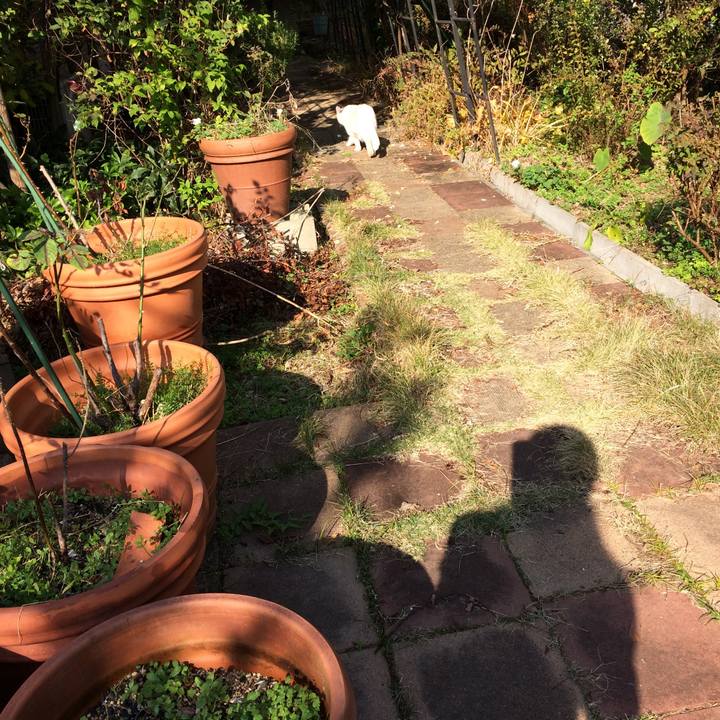 873b0d0c d4fa 4016 9d58 ac6addcacc09