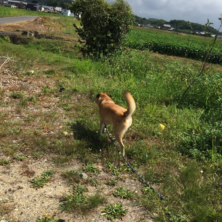 873b18cb 4cbb 4be3 ac30 6df81f5d12d2