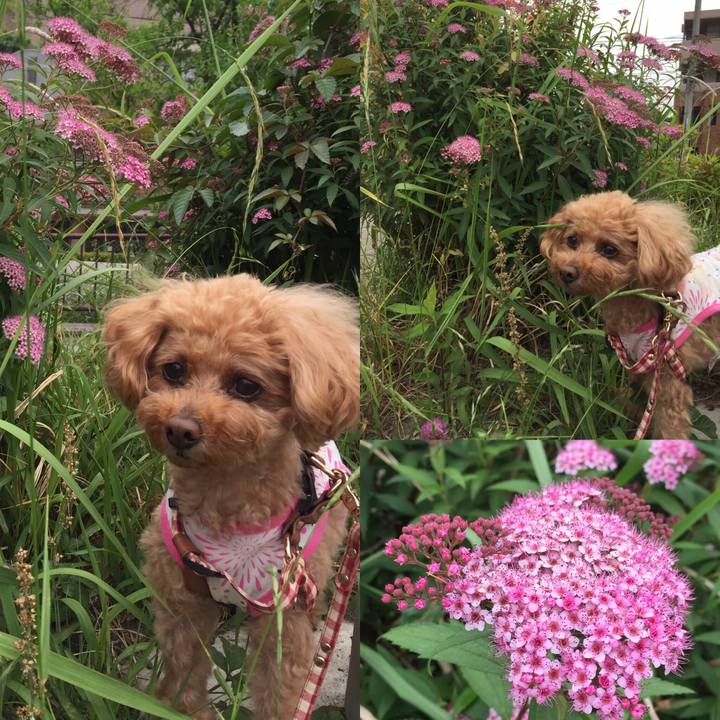 873bbe4b fde8 419d b4d5 333fa197e52c