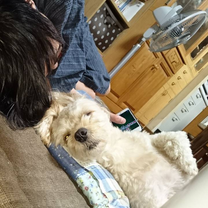 873ceae3 1b38 4600 9f37 53f83d88b7d1