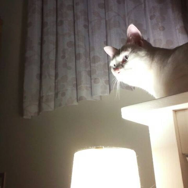 873d48da df9d 413a 84c7 31177e96a6d7