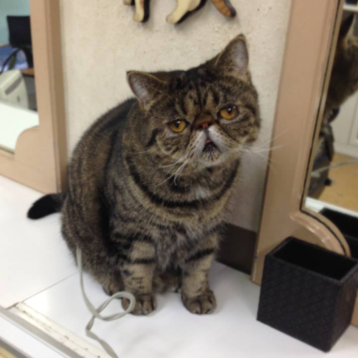 873e24fe 54d3 49c7 809f deab67f9c547